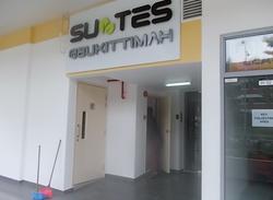 Suites @ Bukit Timah (D21), Apartment #155996372